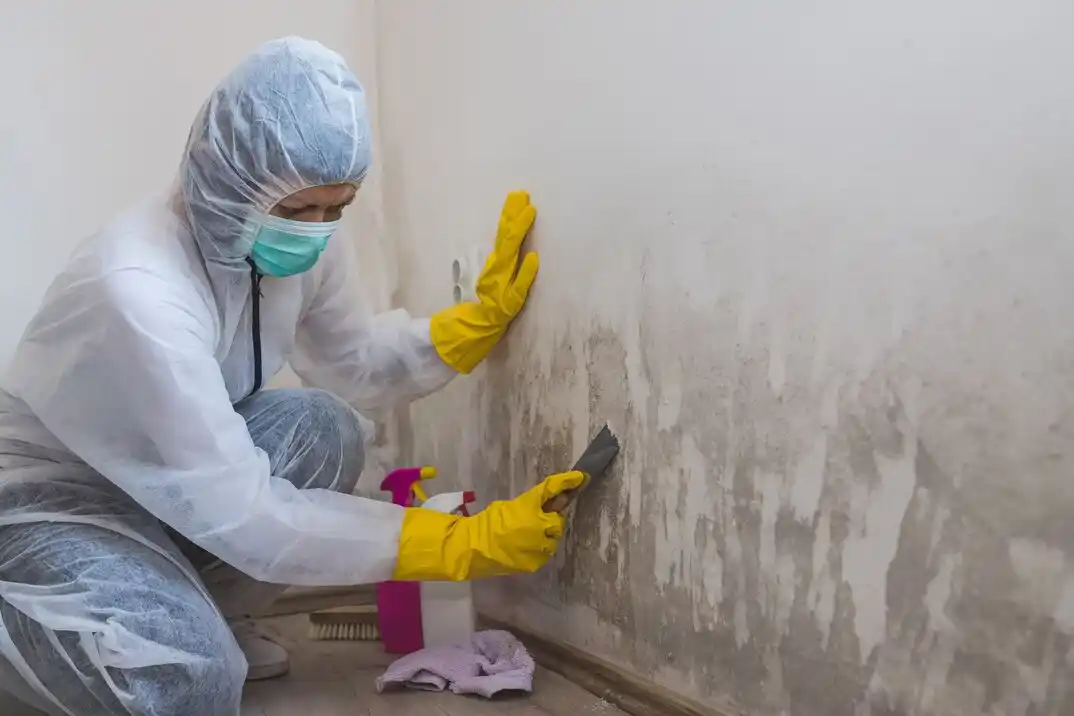 water damage restoration service Scotchtown